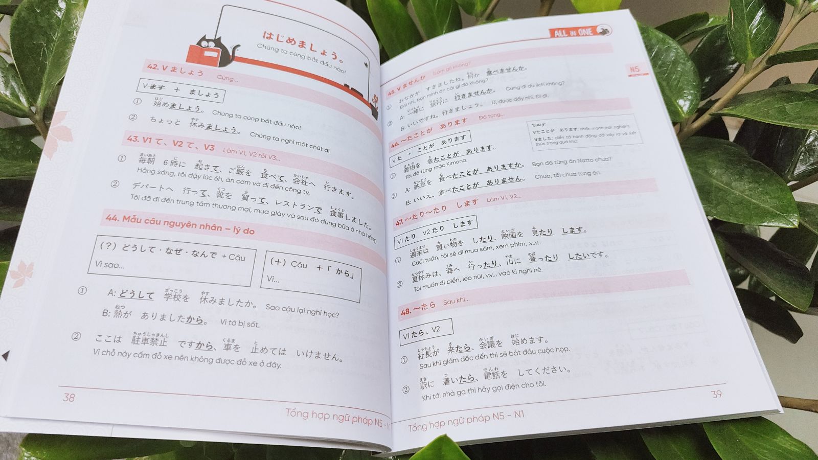 COMBO TỪ VỰNG - NGỮ PHÁP TIẾNG NHẬT N5-N1