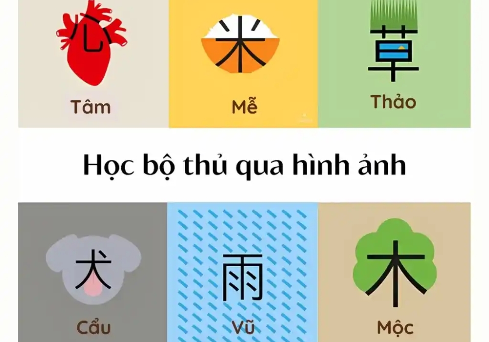 Học kanji theo phương pháp hình ảnh wanikani