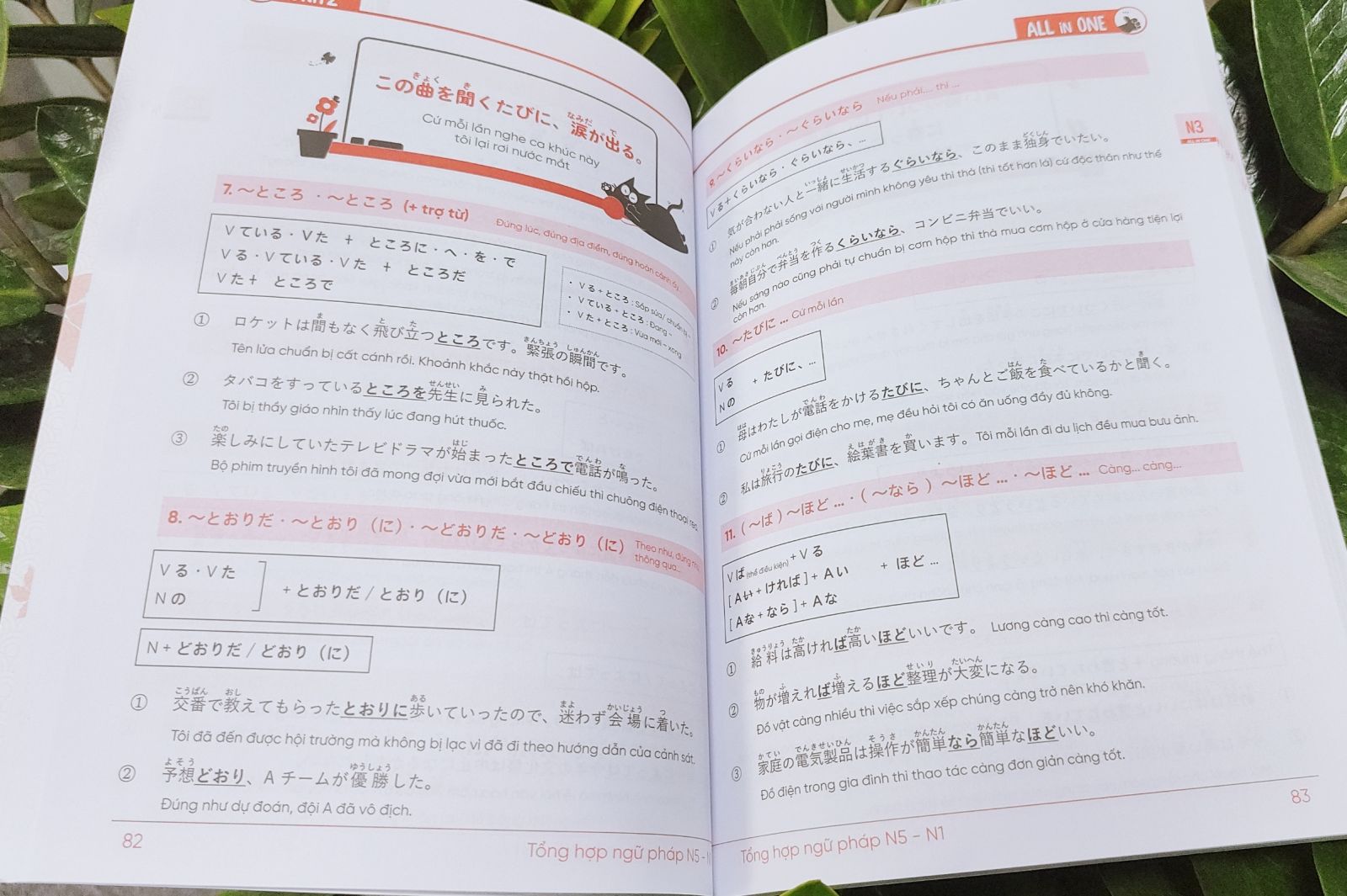 COMBO TỪ VỰNG - NGỮ PHÁP TIẾNG NHẬT N5-N1