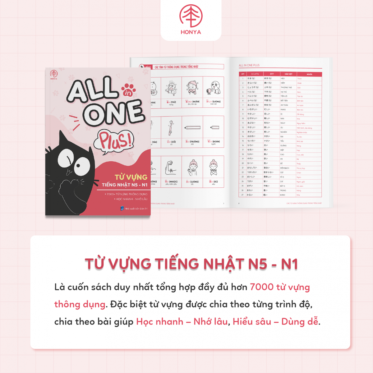 COMBO TỪ VỰNG - NGỮ PHÁP TIẾNG NHẬT N5-N1